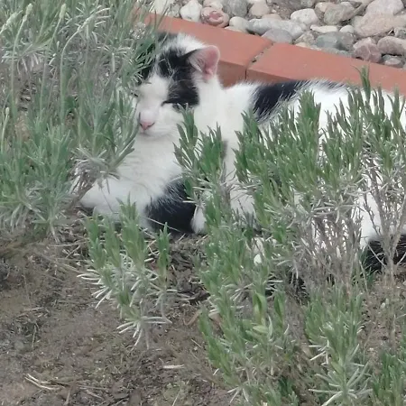 Brzozowy Zakatek * Slawoborze