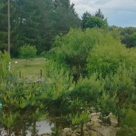Brzozowy Zakatek