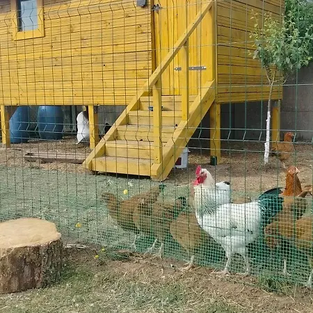 Brzozowy Zakatek Slawoborze